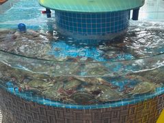 -蓝珊甄选海鲜自助·火锅大排档(近阿那亚店)