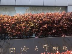-同济大学附属口腔医院
