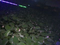 -港式餐厅(阜阳店)