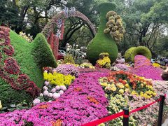 -杭州植物园
