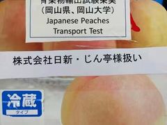 -油麻地果栏