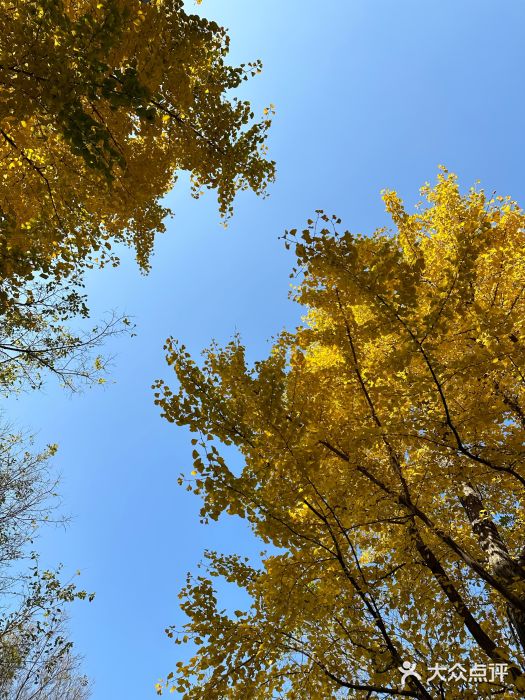 静安雕塑公园图片