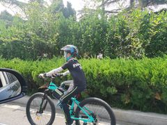 -道路口单车爱瓦士dahon大行