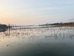 -玄武湖景区-情侣园游乐场