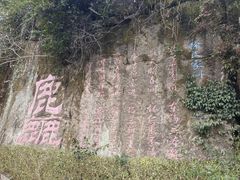 -初溪土楼群