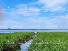 -黑龙江扎龙生态旅游区