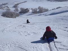 -塞罕坝国家级自然保护区