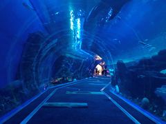 -成都浩海立方海洋公园