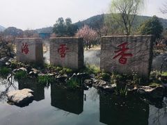-香雪海