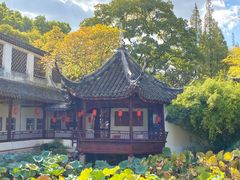 -上海醉白池公园