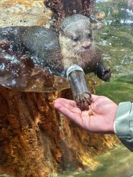 -Zoolung Zoolung动物主题公园(海信广场店)