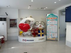 -喜多萌中农锦绣动物医院24H·猫科·牙科MRI·CT