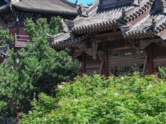 -善化寺