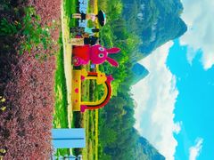 -靖西鹅泉风景区