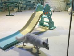 -华夏文旅西安度假区