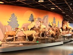 -陕西自然博物馆