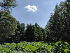 -西安浐灞国家湿地公园