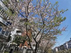 -永乐路-路侧停车场