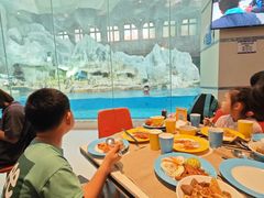 -帝企鹅自助餐厅•儿童岛•真企鹅(长隆企鹅酒店)