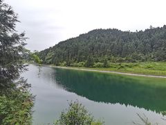 -武陵山森林公园