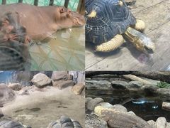 -太原动物园