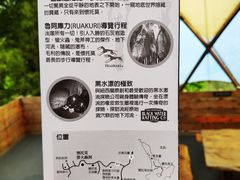 -怀托摩萤火虫洞