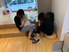 -啵啵喵·猫咖(攀华国际店)
