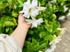 -真如寺