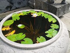 -龙潭水乡