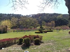 -棒棰岛宾馆景区