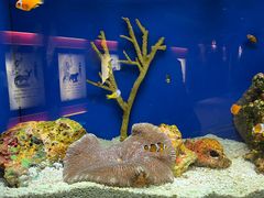 -上海海洋水族馆