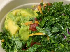 铁板鸡肉碗里道-油梨树 AVOCADO TREE(亮马桥店)