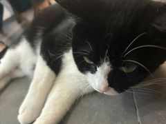 -原田新料理(1912店)