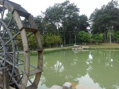 -铁山坪森林公园