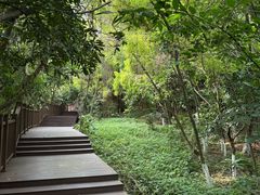 -张坝桂圆林公园