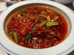 -欧记大排档·景德菜(上海首店)