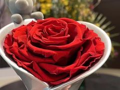 -ROSEONLY诺誓(青岛万象城店)