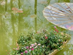 -人民公园(罗湖区)