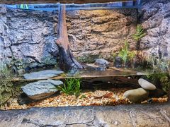 -上海海洋水族馆