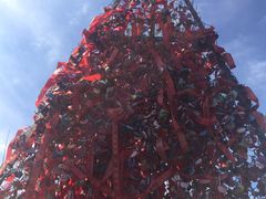 -帽儿山国家森林公园