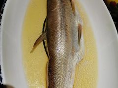 鸡汁白鱼-南京大牌档(济南万象城店)