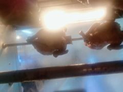 -丽都DELICATESSEN熟食店