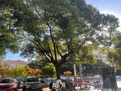 -重庆故事姊妹老火锅(财经学院店)