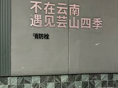 -芸山季·云南山珍菌火锅(南翔印象城MEGA店)