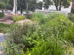 -翠贝卡&Mama Kelly Brunch Coffee(河西店)