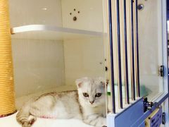 -1013 PET SHOP 宠物商店(近铁城市广场店)