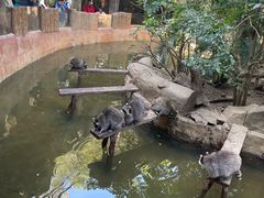 -长鹿旅游休博园