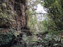 景点-怀托摩萤火虫洞