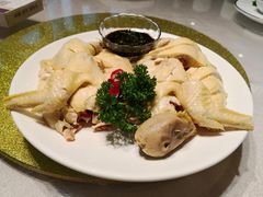 -天福苑(崇宁路店)