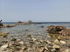 -养马岛旅游度假区